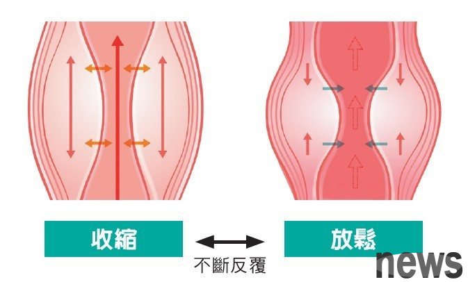 小腿肚的幫浦作用如果變差的話，很容易造成浮腫。肌肉藉由反覆收縮與放鬆的「擠乳作用」機制，來促進停滯在足部的血液流動。
<br />圖／摘自《鬆筋解痛の最強瑜伽伸展式》 
